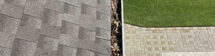 Gutter Cleaning Services