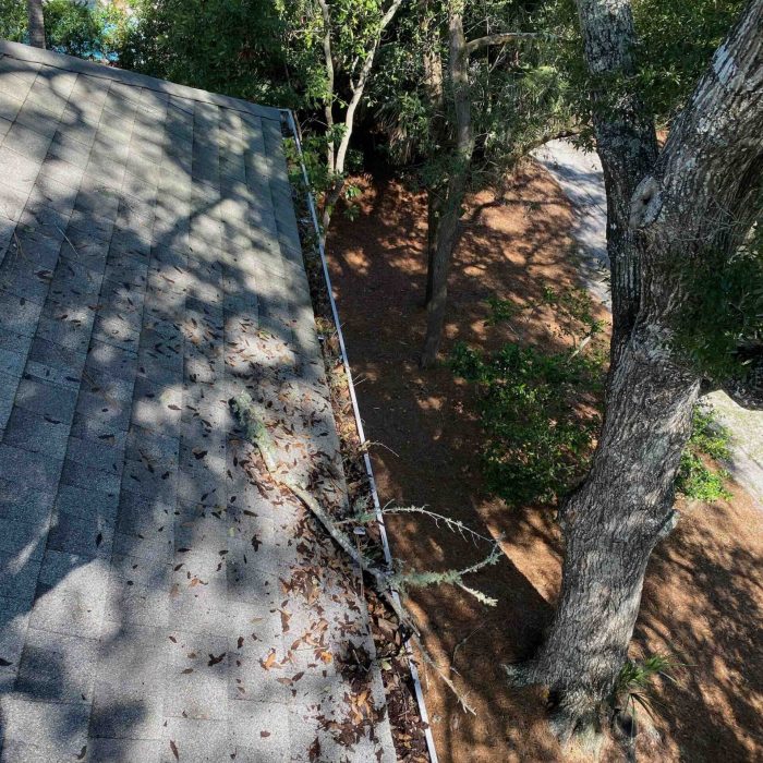 Importance of Gutter Cleaning